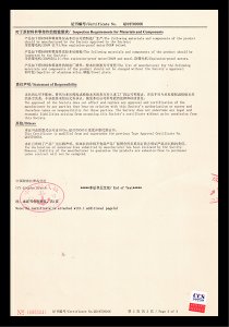 CCS形式认可 05